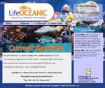 Archived homepage of Life Oceanic — version 2